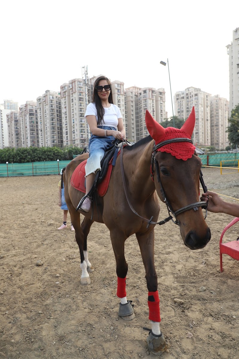 Sky Horse Riding Club & Cafe