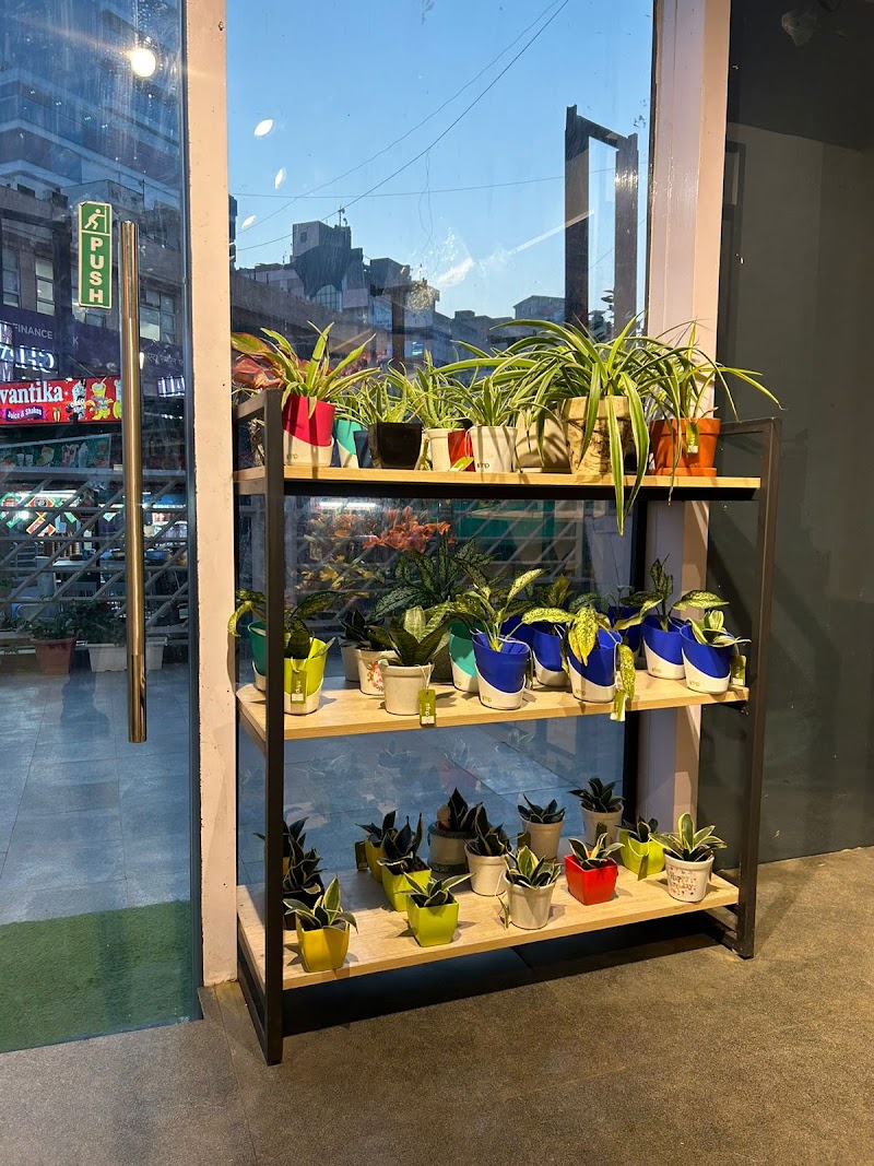 FNP: Florist & Bakery in Noida
