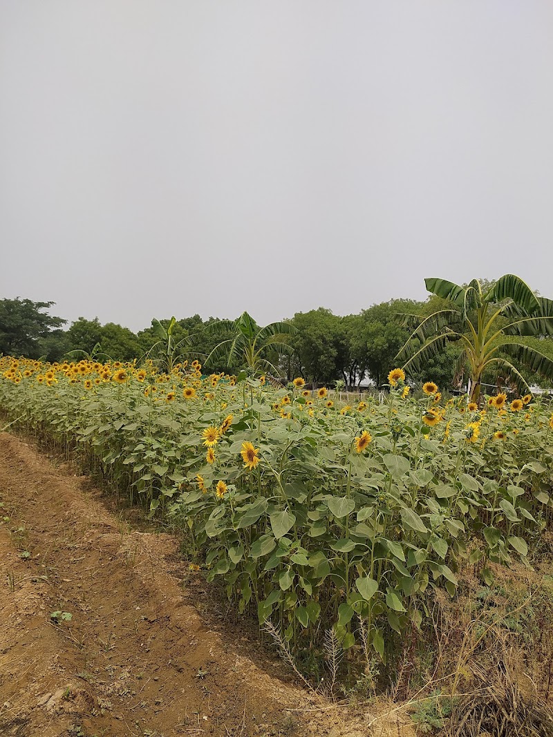URRJAA ORGANIC FARMS, NOIDA
