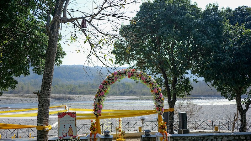 The Divine Doli